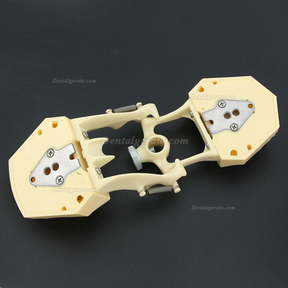 Dental Typodont Restorative Standardmodell M8014-2 Kompatibel mit Frasaco AG3 Modell